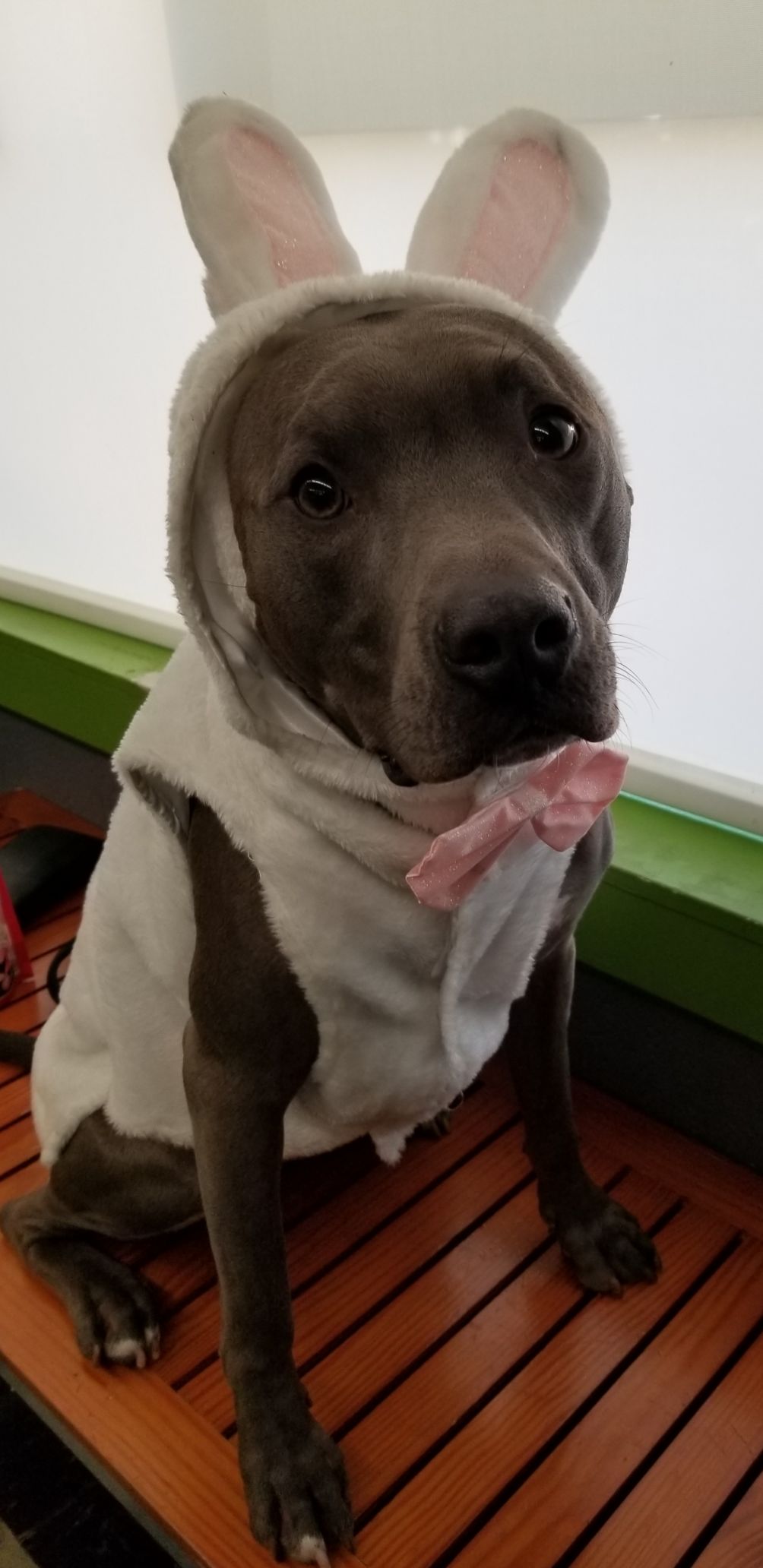 Milo